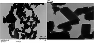 Facile Coating of Urea With Low-Dose ZnO Nanoparticles Promotes Wheat Performance and Enhances Zn Uptake Under Drought Stress